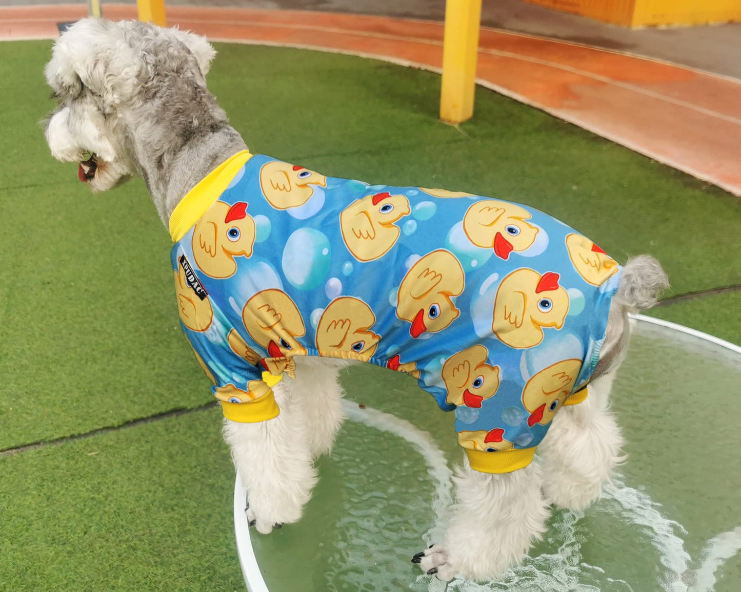 XPUDAC 4 Piece Dog Pajamas for Small Dogs Pjs Clothes Puppy Onesies Outfits for Doggie Christmas Shirts Sleeper for Pet