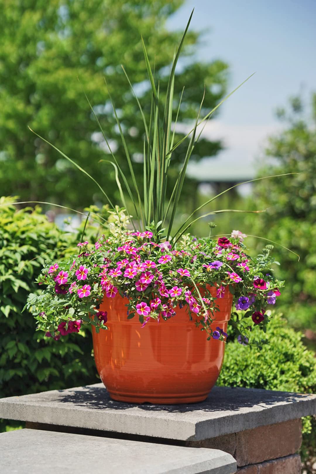 Garden Elements Glazed Brushed Happy Large Plastic Planter, 15" (1, Purple)