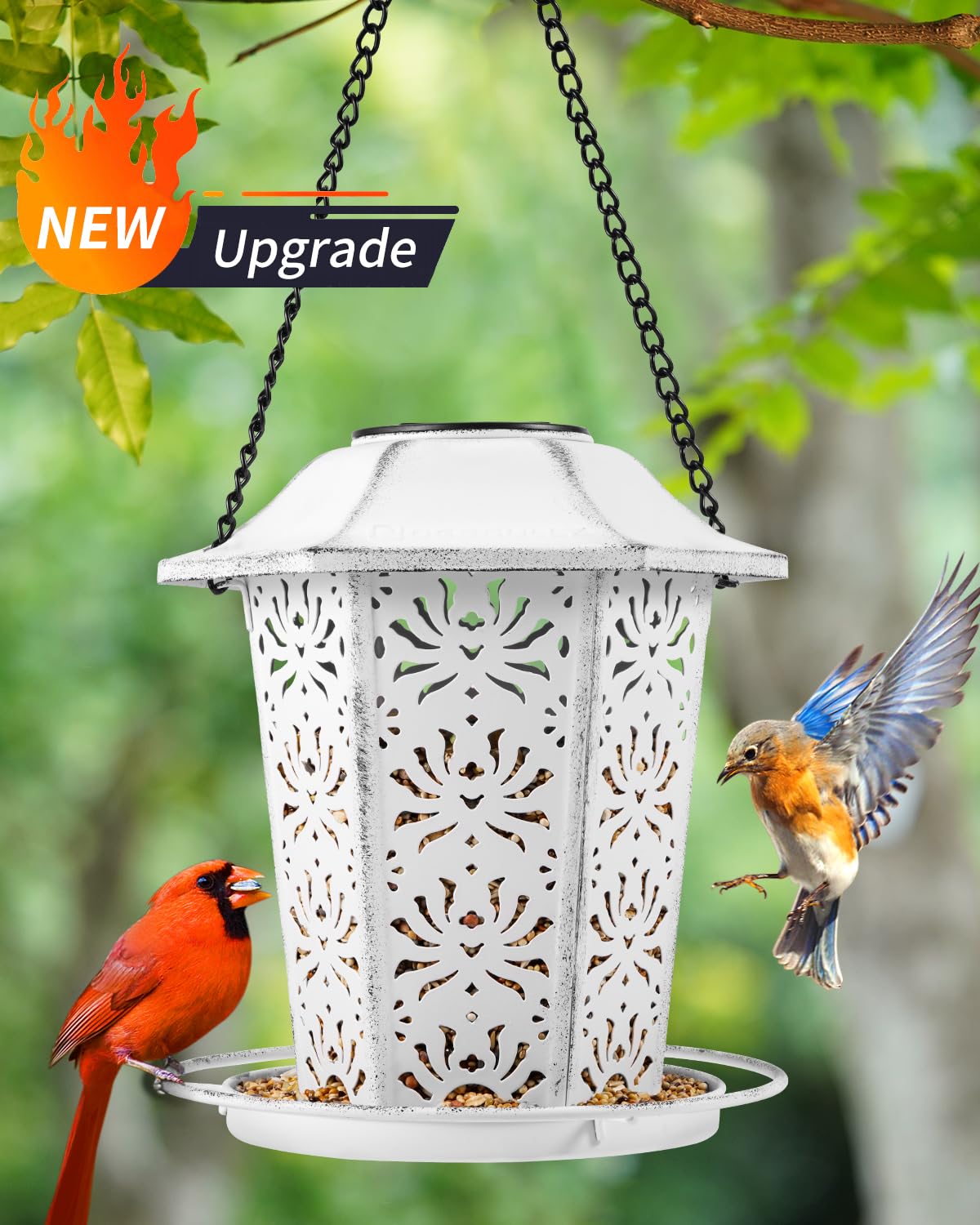 Solar Bird Feeders for Outdoors Hanging - Premium Grade Metal Bird Feeder, Chew-Proof, Weather and Water Resistant Wild Bird feeders, Outside and Garden Decoration-New