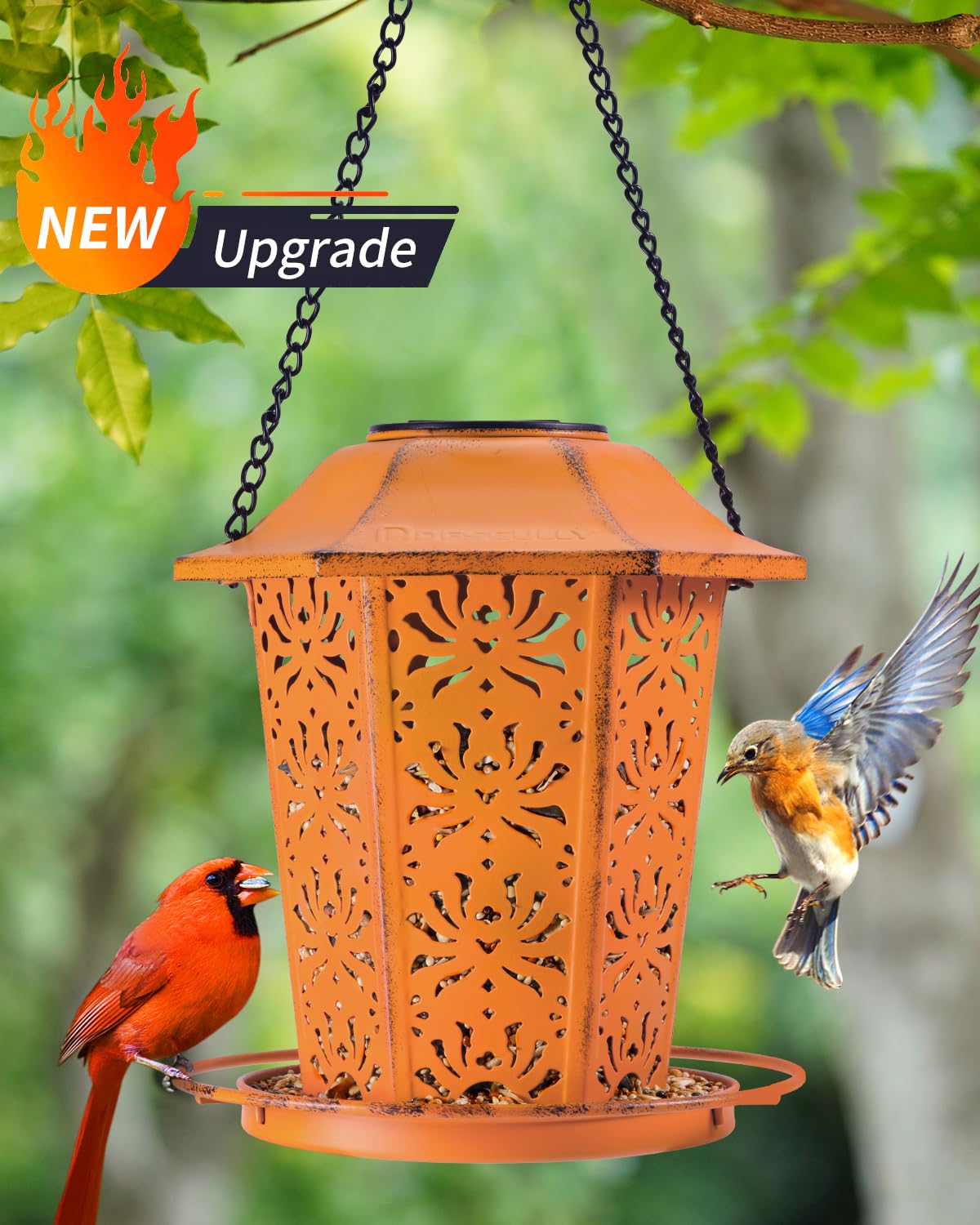 Solar Bird Feeders for Outdoors Hanging - Premium Grade Metal Bird Feeder, Chew-Proof, Weather and Water Resistant Wild Bird feeders, Outside and Garden Decoration-New