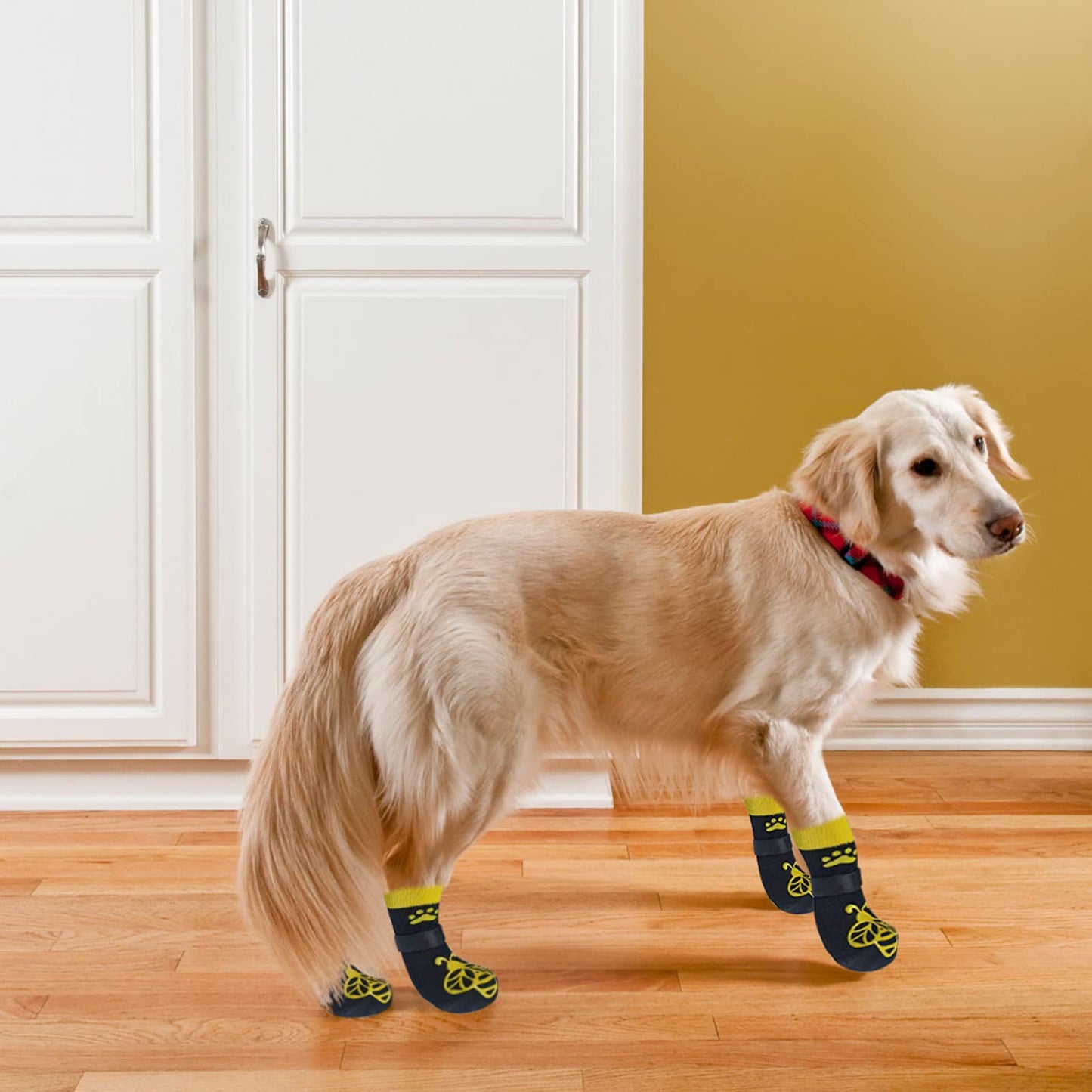 EXPAWLORER Double Side Anti-Slip Dog Socks - 3 Pairs Dog Grip Socks with Straps Traction Control, Pet Paw Protection for Small Medium Large Dogs Indoor Wear on Hardwood Floor