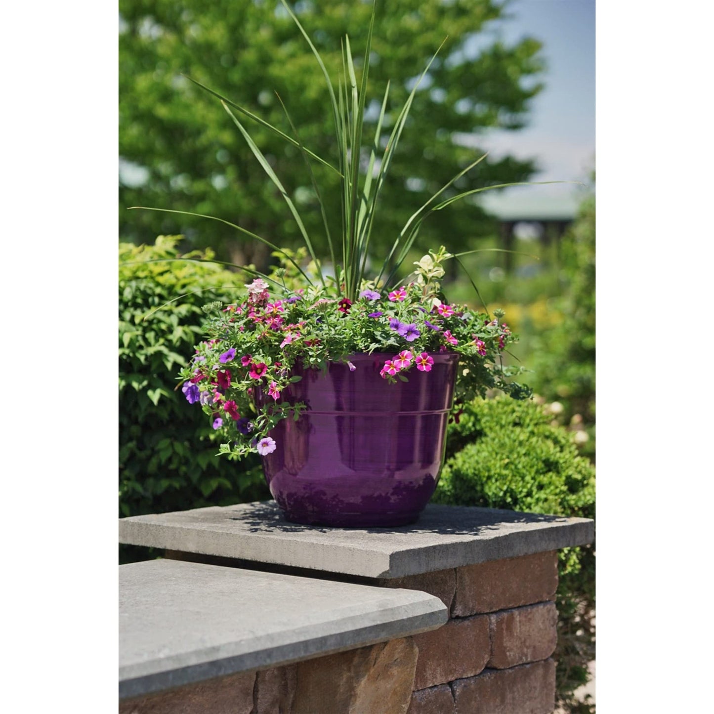 Garden Elements Glazed Brushed Happy Large Plastic Planter, 15" (1, Purple)