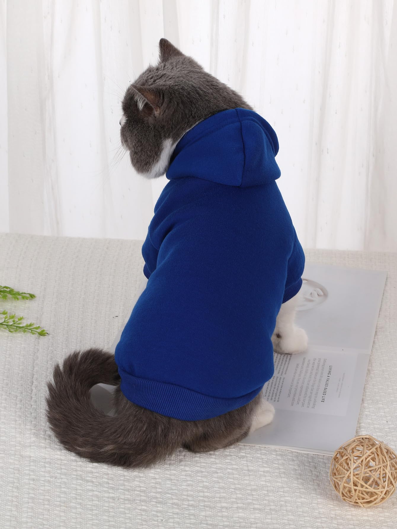 QWINEE Basic Dog Hoodie, Dog Warm Jacket, Cat Apparel, Dog Shirt, Dog Clothes for Puppy Kitten Small Medium Dogs Cats Cadet Blue M