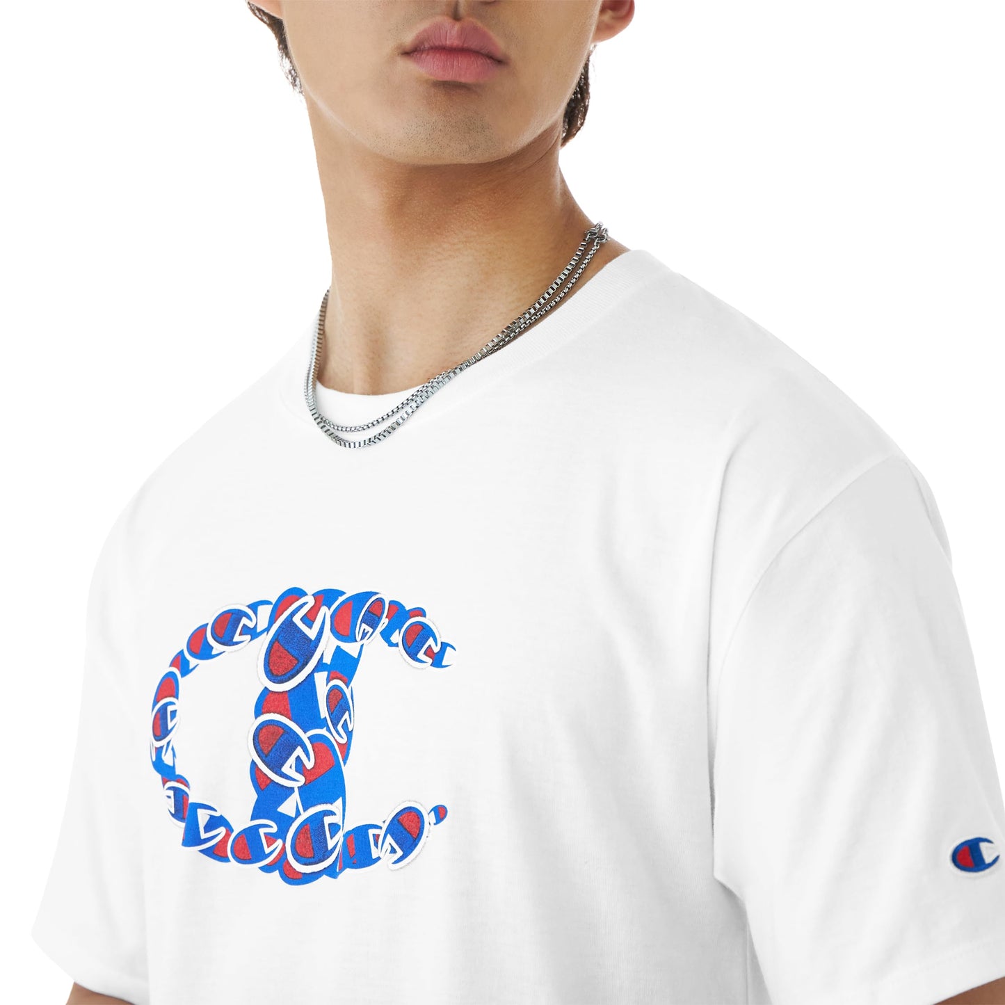 Champion Men's T-shirt, Classic Tee for Men, Men's T-shirt, Men's Tee (Reg. Or Big & Tall)