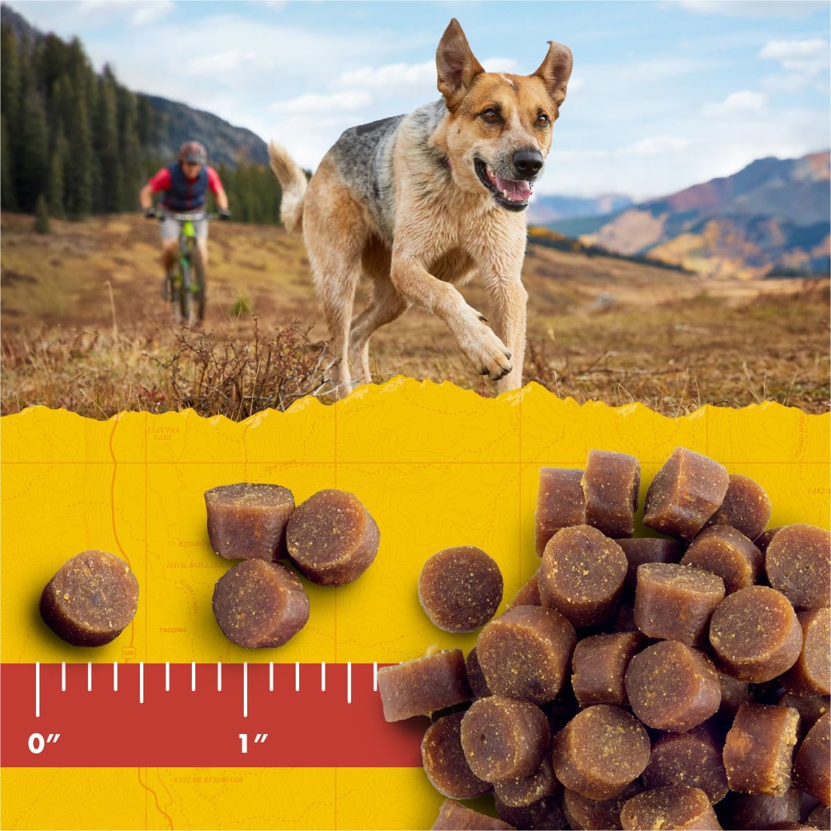 Zuke’s Mini Naturals Soft And Chewy Dog Treats For Training Pouch, Natural Treat Bites With Salmon Recipe - 6 oz. Bag