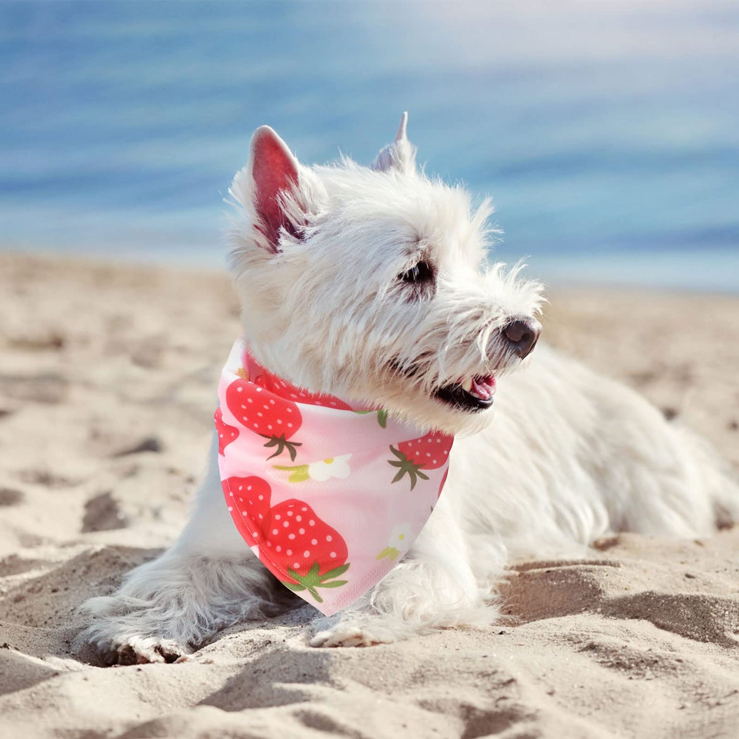 EXPAWLORER Dog Cooling Bandana Set - 4 Pack Hawaii Dog Bandana, Summer Triangle Scarfs Bibs with Cute Fruit Patterns for Small Medium Large Dogs, Large