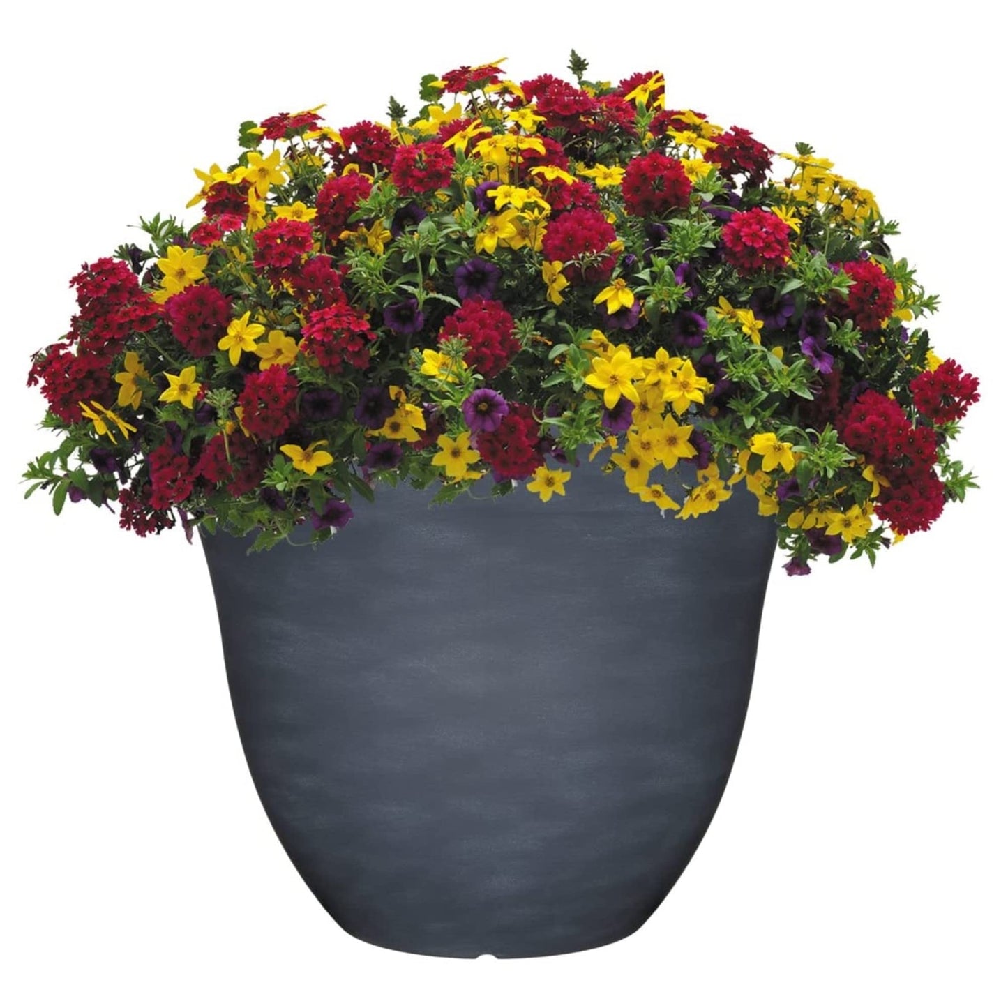 Classic Home and Garden Honeysuckle Resin Flower Pot Planter, Tequila Sunrise, 13"