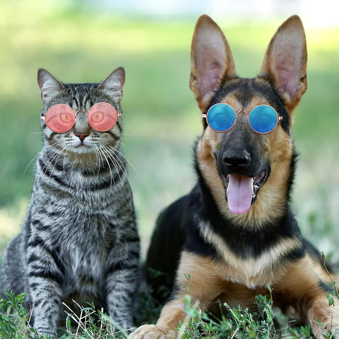 15 Pieces Small Pet Sunglasses Retro Dog Sunglasses Round Metal Puppy Sunglasses Cosplay Glasses Photo Props Eyewear for Cats and Small to Medium Sized Dogs