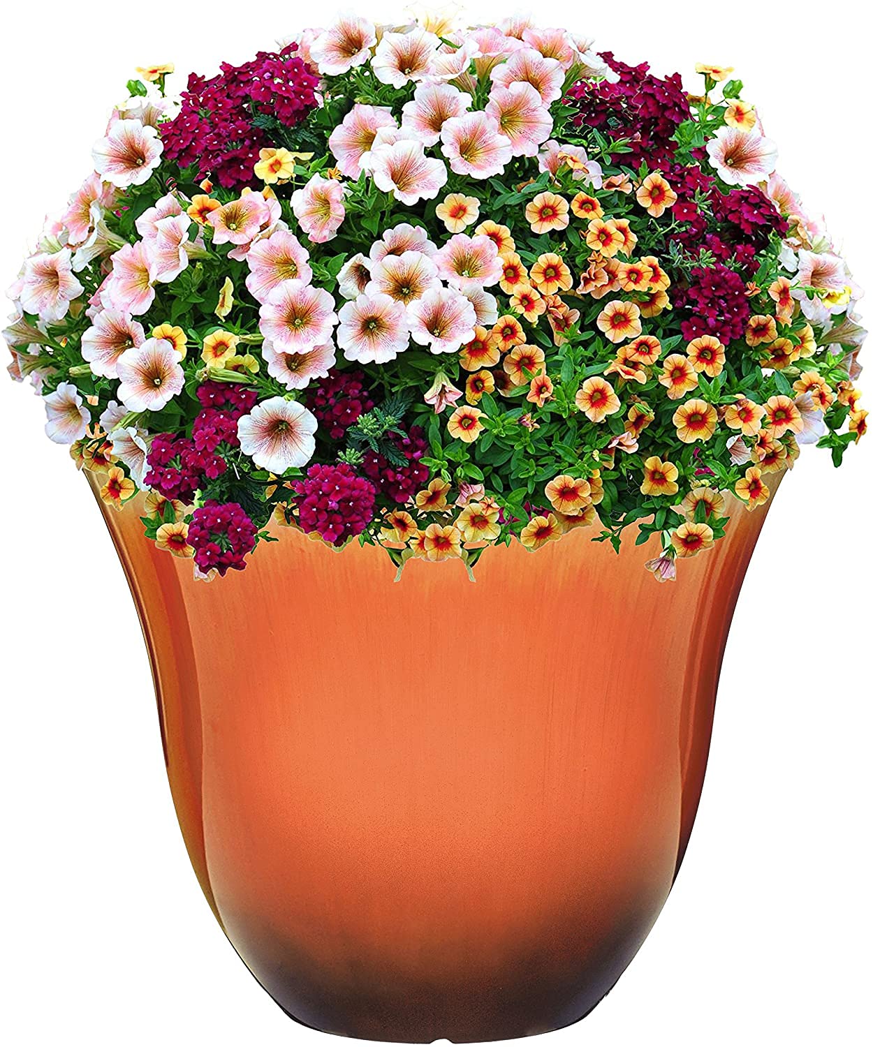 Classic Home and Garden Honeysuckle Resin Flower Pot Planter, Tequila Sunrise, 13"