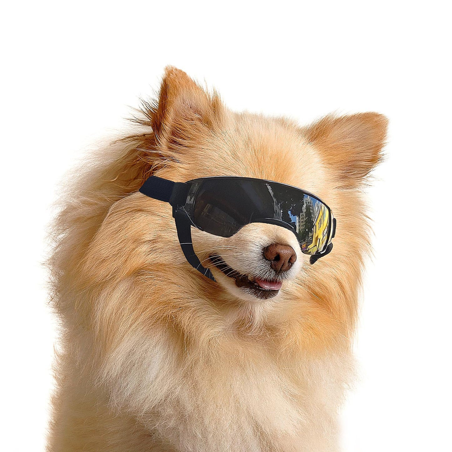 ENJOYING Dog Sunglasses Small Dog Goggles Anti-UV Doggy Glasses for Small Dogs Big Cats Impact/Wind/Dust/Fog Proof Puppy Eye Protection, Cool Blue