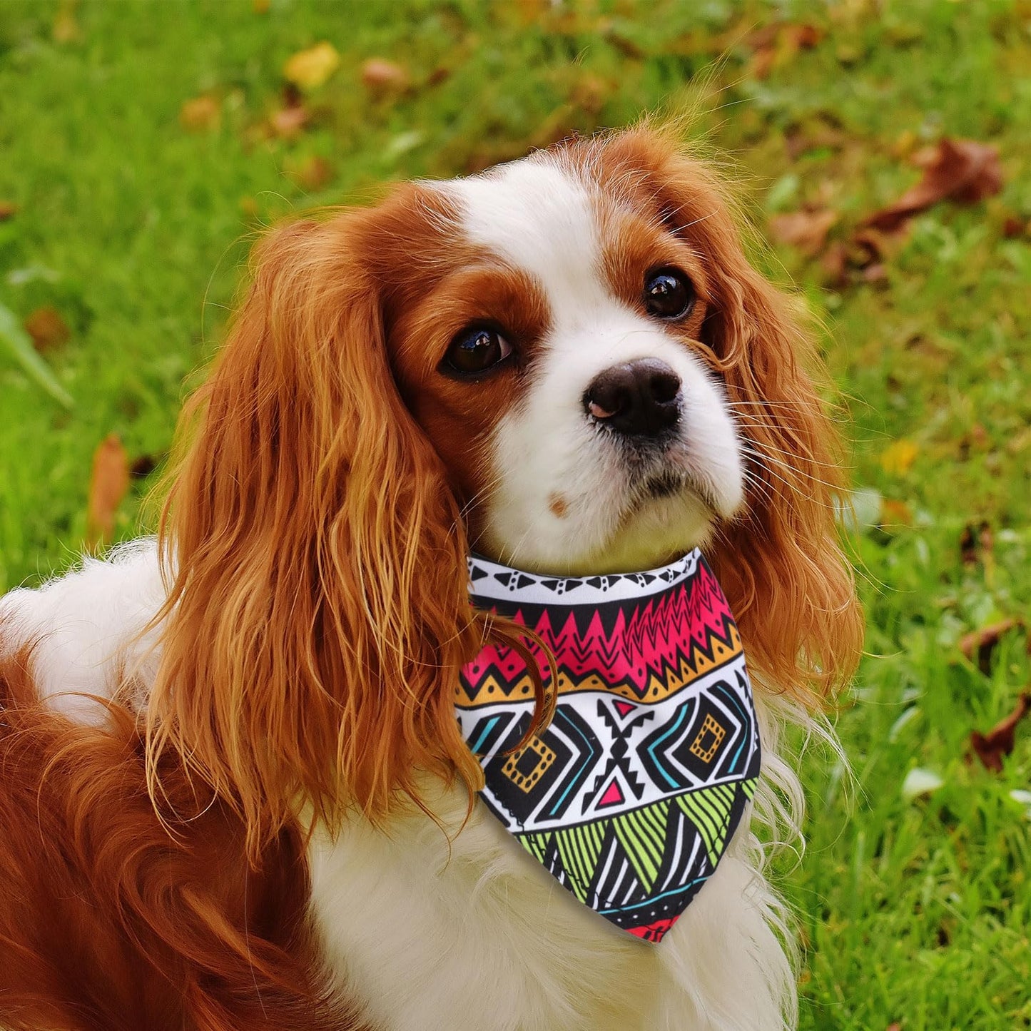 72 Packs Dog Bandanas Bulk Buffalo Plaid Dog Bandana Summer Scarf Triangle Fruit Dog Drool Bibs Fruit Washable Bandana Adjustable Kerchief Dog Cat Bandana for Beach Small Medium Pet Supplies (Fruit)