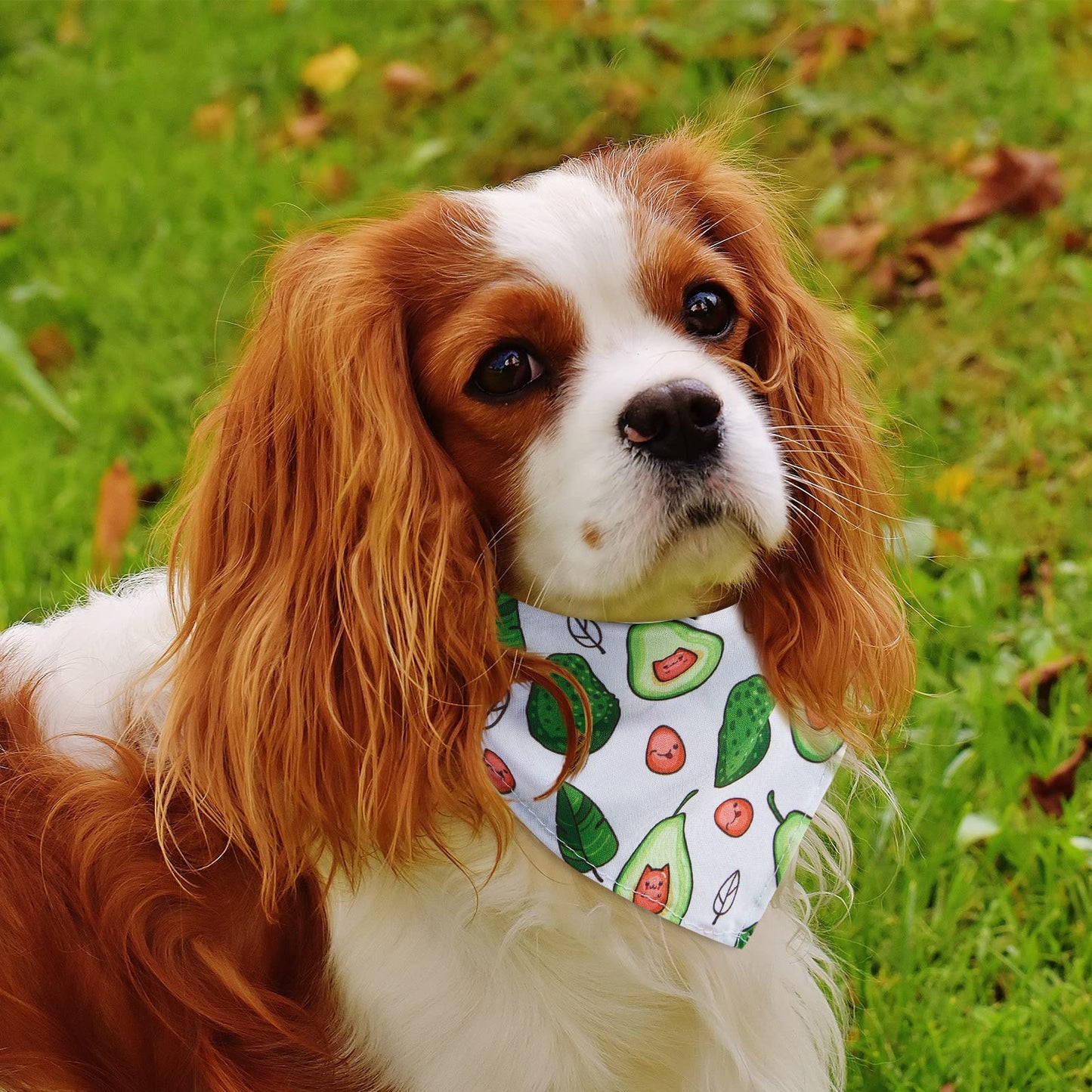 72 Packs Dog Bandanas Bulk Buffalo Plaid Dog Bandana Summer Scarf Triangle Fruit Dog Drool Bibs Fruit Washable Bandana Adjustable Kerchief Dog Cat Bandana for Beach Small Medium Pet Supplies (Fruit)