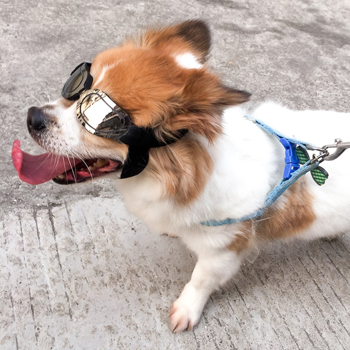 ENJOYING Dog Sunglasses Small Dog Goggles Anti-UV Doggy Glasses for Small Dogs Big Cats Impact/Wind/Dust/Fog Proof Puppy Eye Protection, Cool Blue