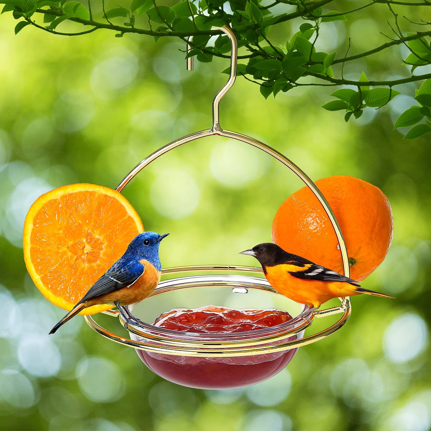 Hanizi Metal Hanging Oriole Bird Feeder with Fruit Holder Removable Drink Plasic for Garden Patio Outside