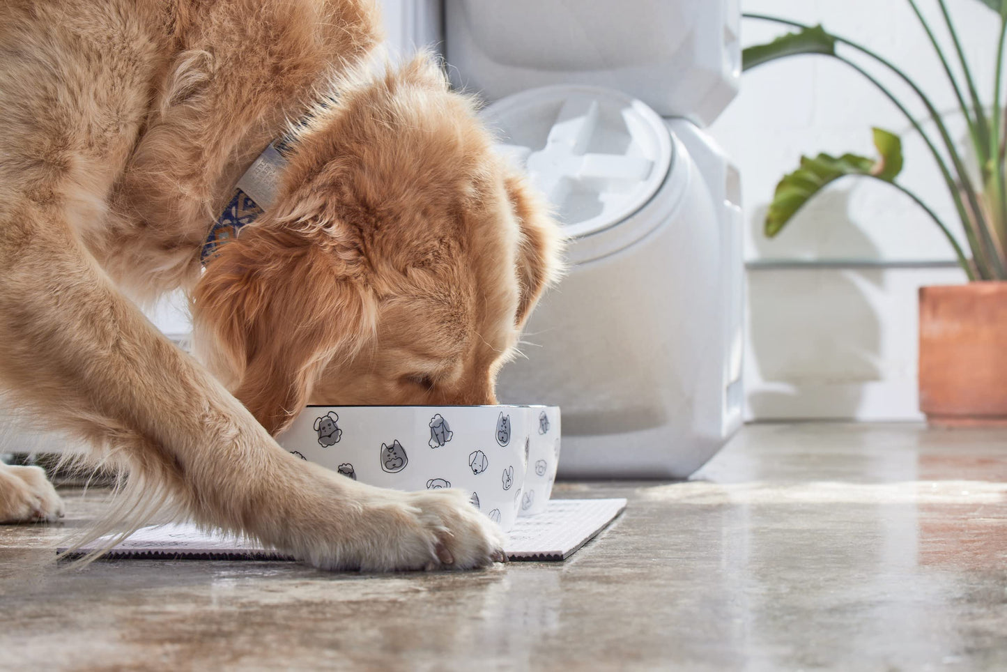 Pearhead Woof Pet Bowl, Dog Water and Food Dish, Pet Owner Dog Accessory, Ceramic, White, Microwave and Dishwasher Safe, Holds 3 Cups, 24 oz