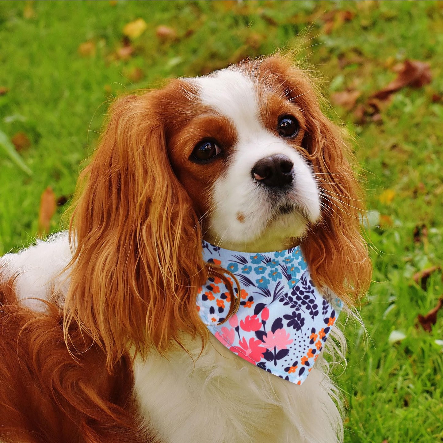 72 Packs Dog Bandanas Bulk Buffalo Plaid Dog Bandana Summer Scarf Triangle Fruit Dog Drool Bibs Fruit Washable Bandana Adjustable Kerchief Dog Cat Bandana for Beach Small Medium Pet Supplies (Fruit)