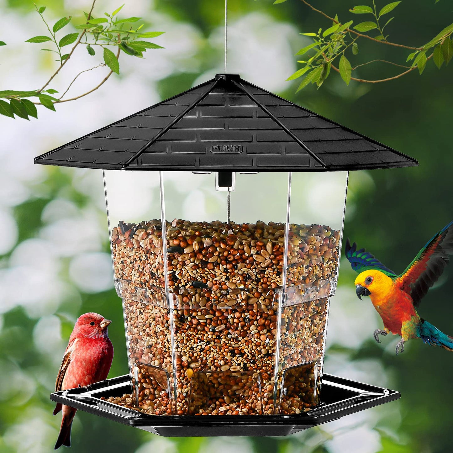 Bird Feeders for Outdoors Hanging, Bird Feeder with a Latch Feature, Wild Bird Seed for Outside Feeders and Garden Decoration Yard for Bird Watchers(Black, 1 Pack)