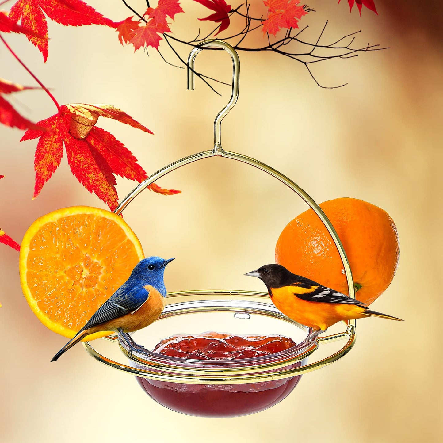 Hanizi Metal Hanging Oriole Bird Feeder with Fruit Holder Removable Drink Plasic for Garden Patio Outside