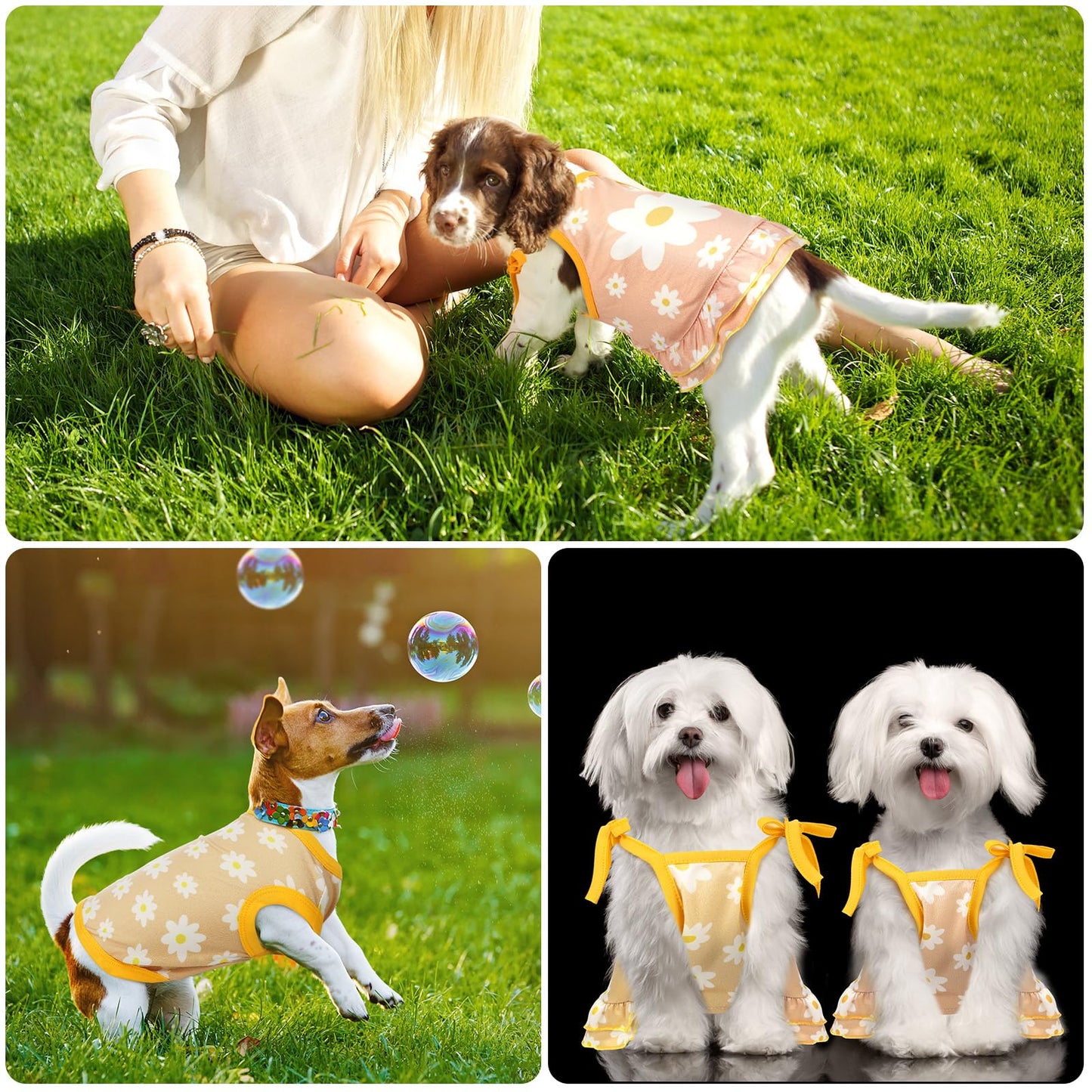 4 Pieces Pet Clothes Set Include 2 Pieces Cute Pet Dress Lovely Fruit Dog Dress and 2 Pieces Dog Shirt Breathable Pet T-Shirt Puppy Clothes for Pet (Pineapple, Sunflower,Medium)