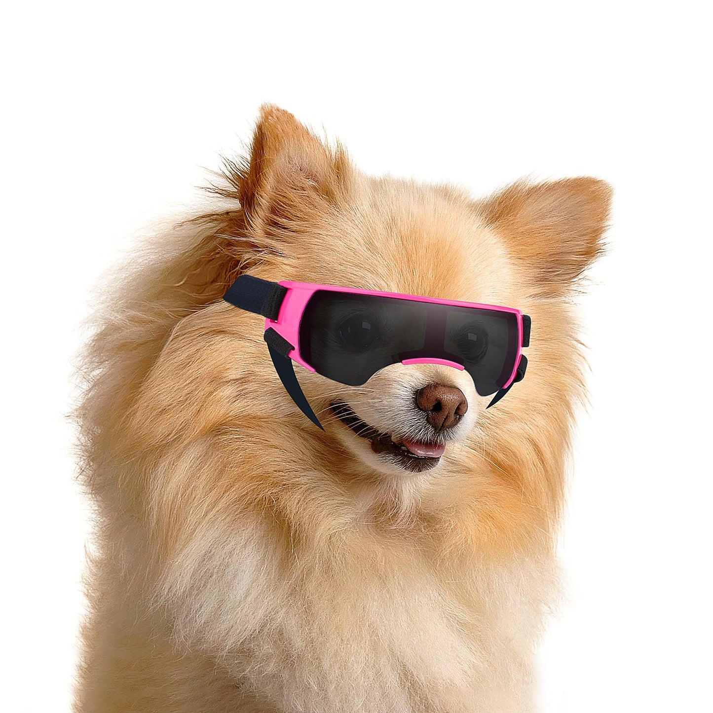 ENJOYING Dog Sunglasses Small Dog Goggles Anti-UV Doggy Glasses for Small Dogs Big Cats Impact/Wind/Dust/Fog Proof Puppy Eye Protection, Cool Blue