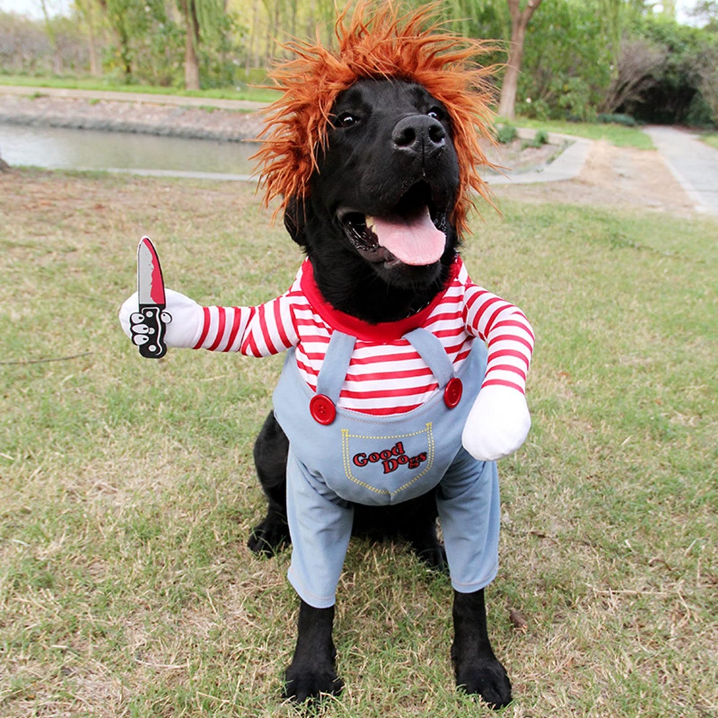 Pet Deadly Doll Dog Costume, Cosplay Halloween Christmas Funny Clothes Party Costume for Small Medium and Large Dogs (Small)