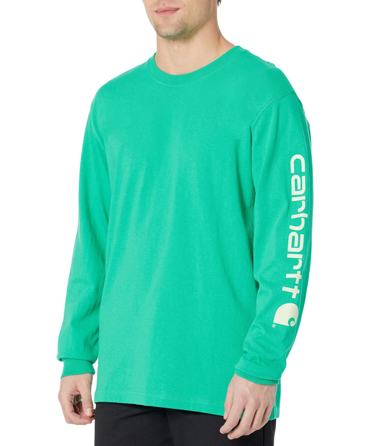 Carhatt Mens Loose Fit Heavyweight LongSleeve Logo Sleeve Graphic TShirt