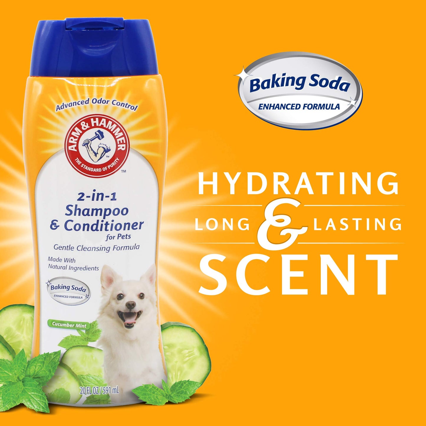 Arm & Hammer for Pets 2-In-1 Shampoo & Conditioner for Dogs | Dog Shampoo & Conditioner in One | Cucumber Mint, 20 Ounce Bottle Dog Shampoo and Conditioner for All Dogs