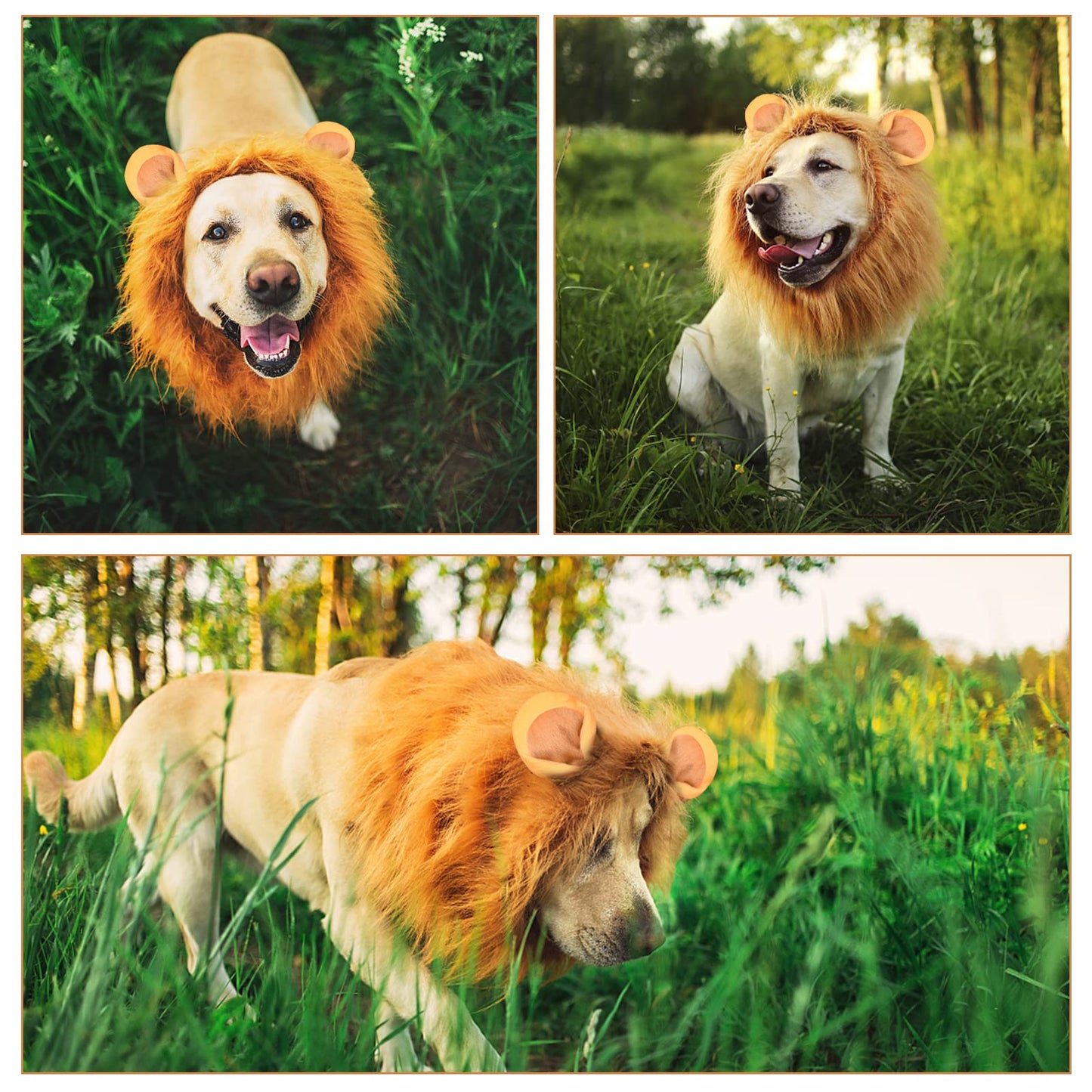 Dog Lion Mane Costume - Realistic Mane with Ears for Medium to Large Sized Dogs, Pet Halloween Costumes Birthday Party Cosplay Apparel