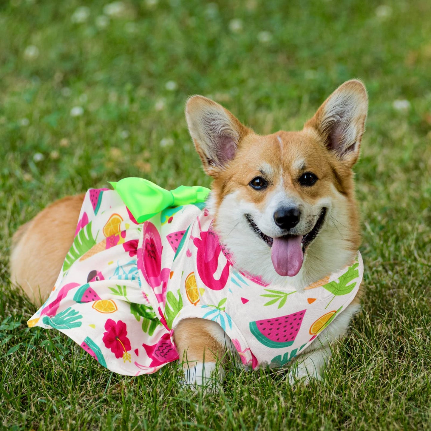 LEIFIDE 8 Pcs Summer Themed Hawaii Dog Dresses Holiday Dog Dress Flamingo Fruit Floral Pattern Pet Skirts Hawaii Puppy Princess Dresses Outfits Bowknot Puppy Dresses for Girl Dogs Cats Beach (Small)