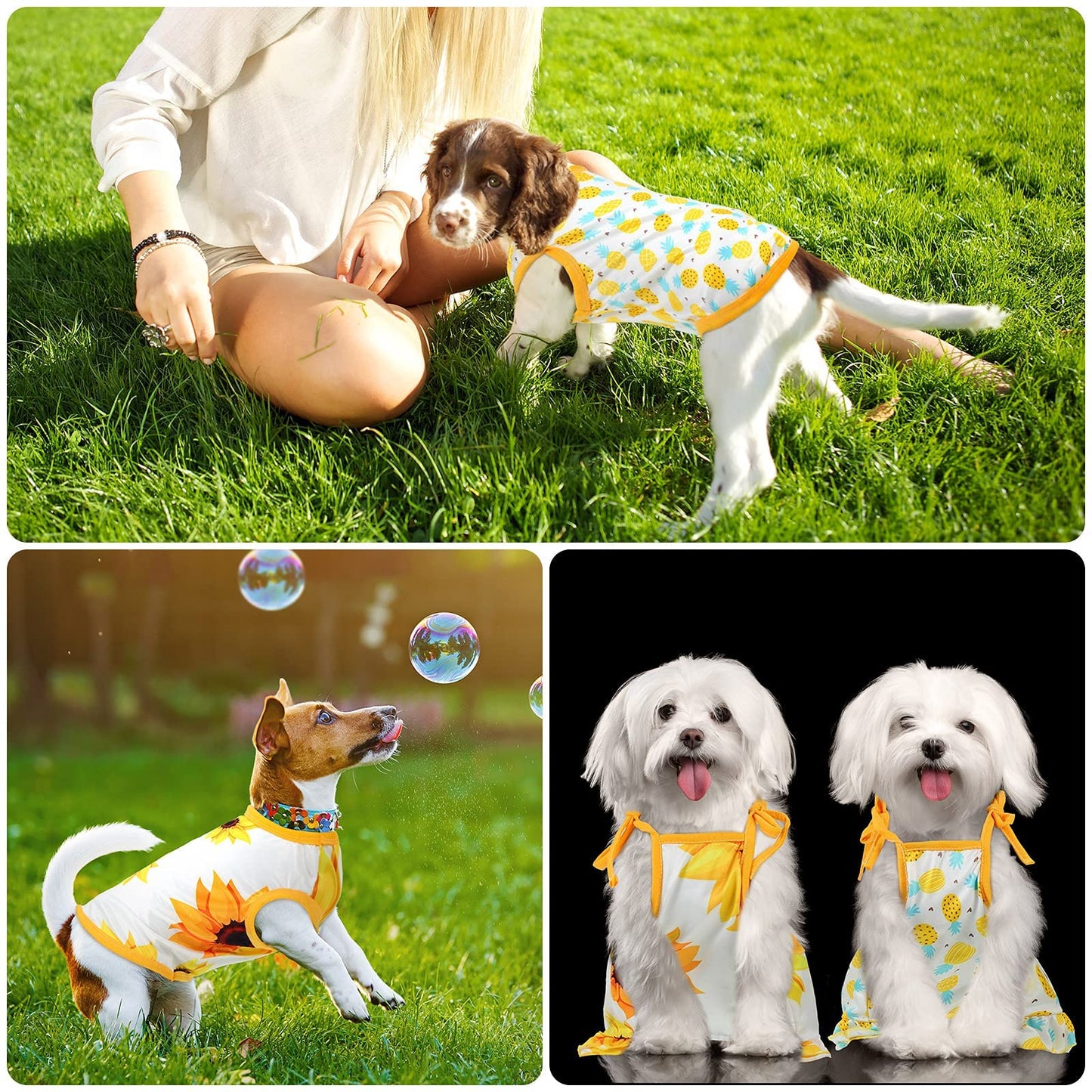 4 Pieces Pet Clothes Set Include 2 Pieces Cute Pet Dress Lovely Fruit Dog Dress and 2 Pieces Dog Shirt Breathable Pet T-Shirt Puppy Clothes for Pet (Pineapple, Sunflower,Medium)