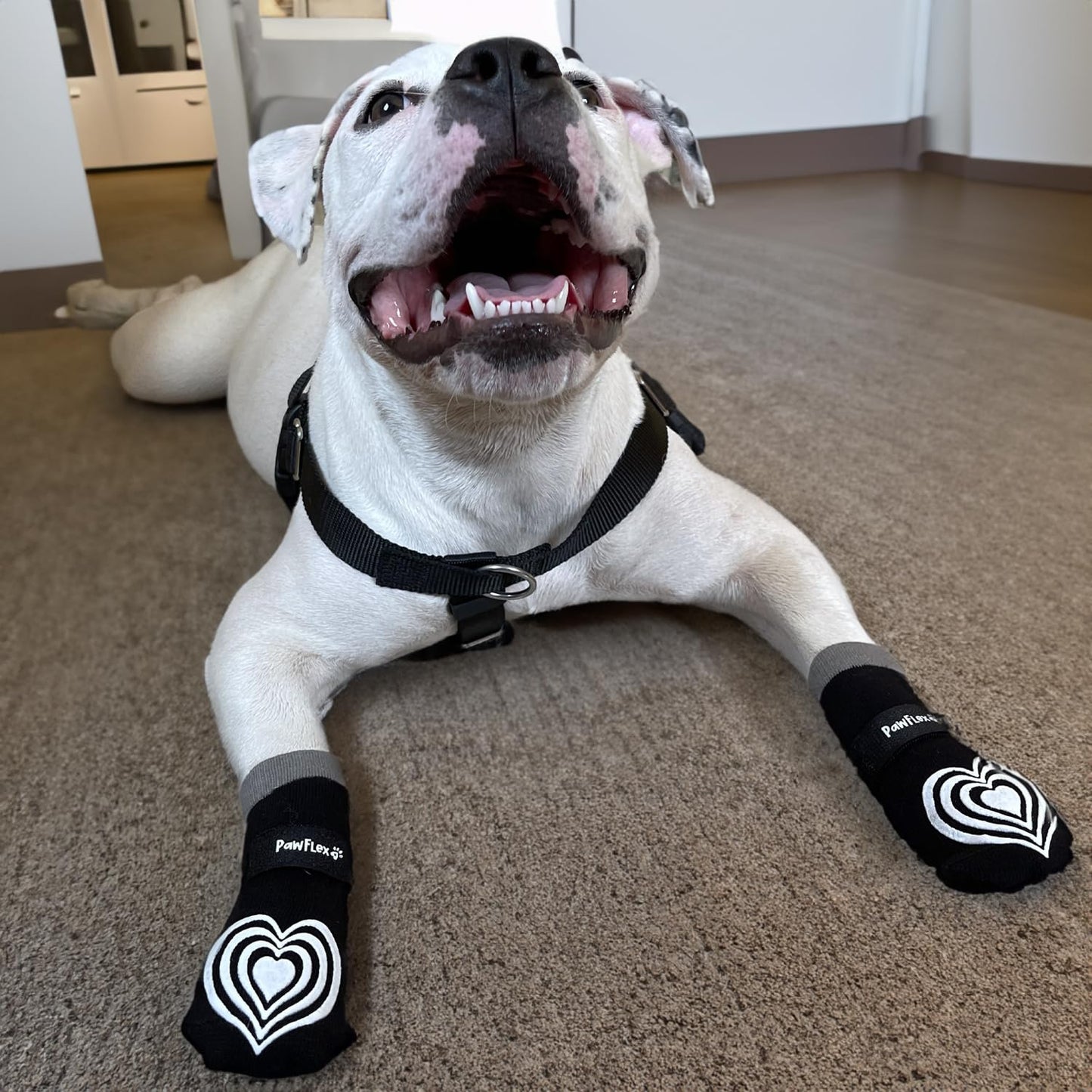 Medical First-Aid Double Sided Anti-Slip Cotton Dog Socks | PawFlex Comfy Pawz Silicone Nonslip at Inner Cuff for No Twisting or Sliding Off | Pet Paw Protection |Wound Care | Traction Control