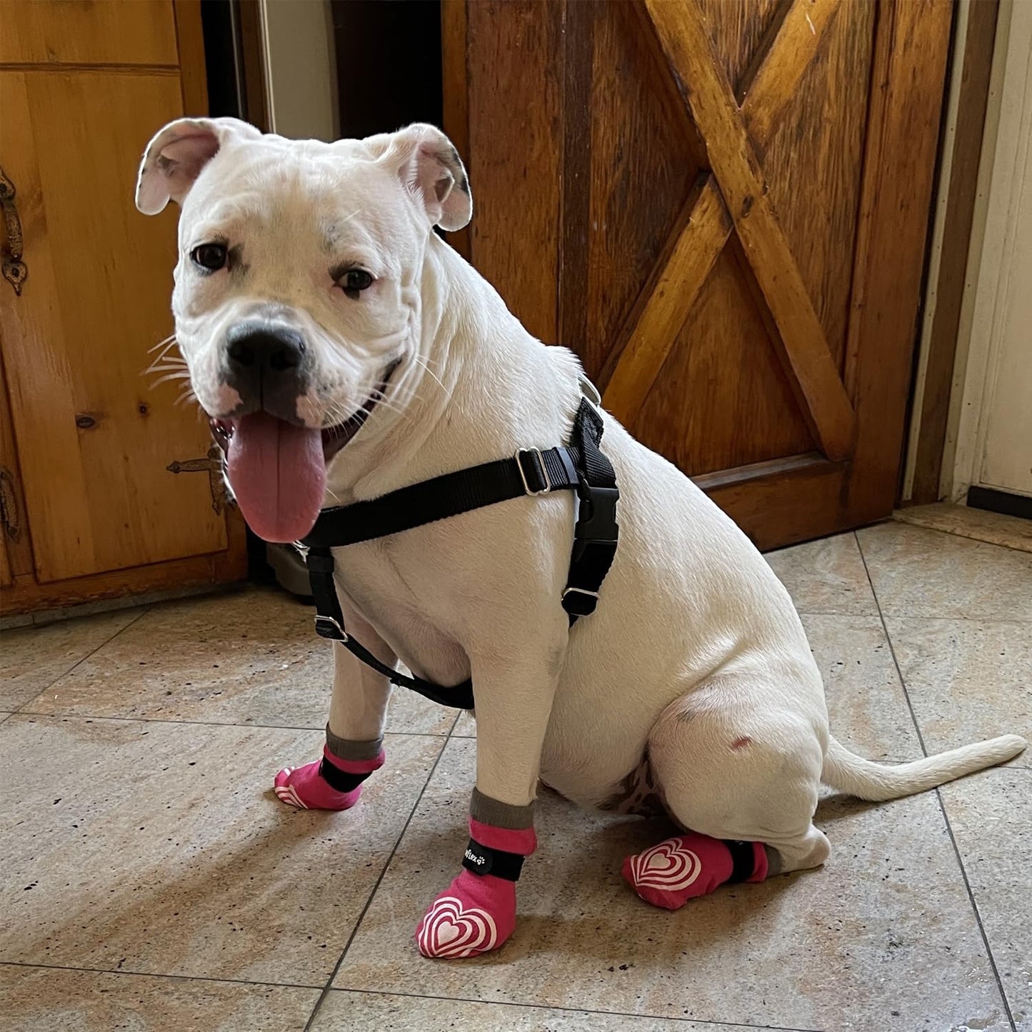 Medical First-Aid Double Sided Anti-Slip Cotton Dog Socks | PawFlex Comfy Pawz Silicone Nonslip at Inner Cuff for No Twisting or Sliding Off | Pet Paw Protection |Wound Care | Traction Control