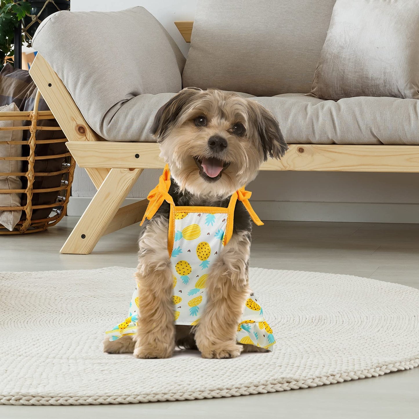 4 Pieces Pet Clothes Set Include 2 Pieces Cute Pet Dress Lovely Fruit Dog Dress and 2 Pieces Dog Shirt Breathable Pet T-Shirt Puppy Clothes for Pet (Pineapple, Sunflower,Medium)