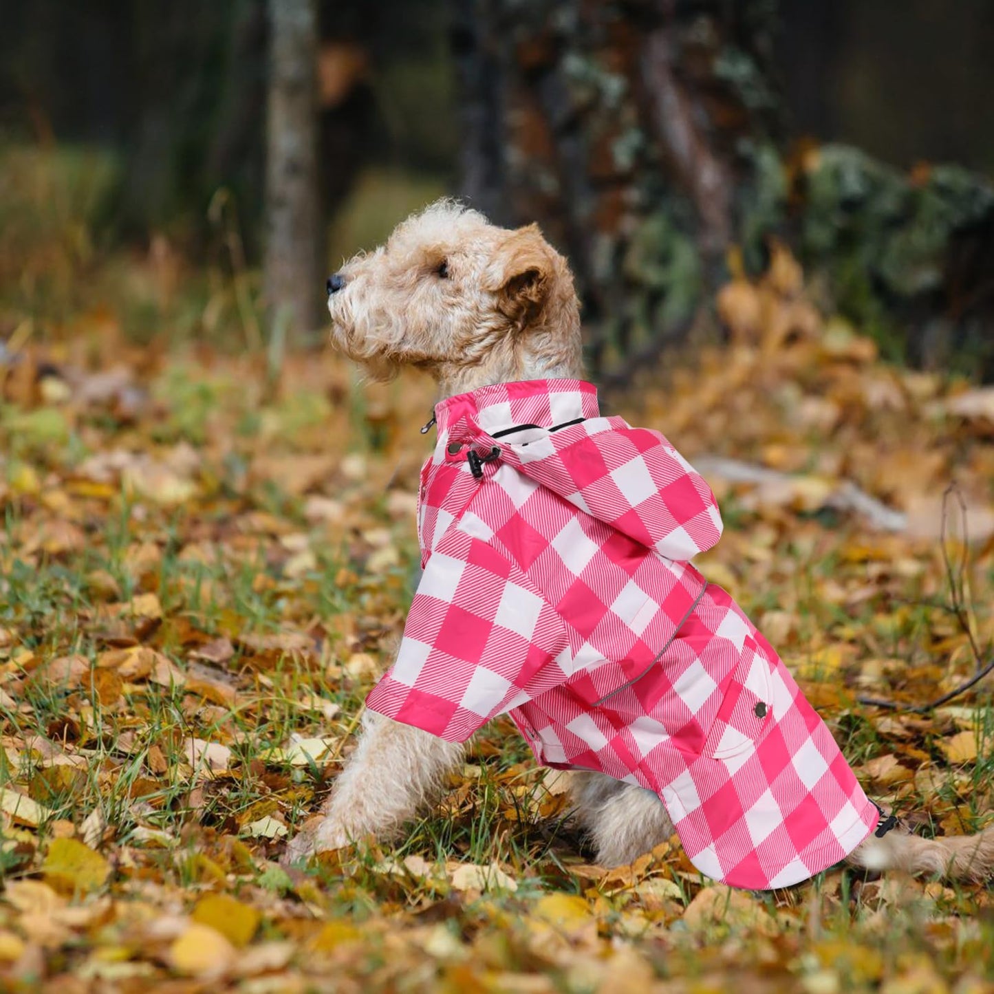 Dog Zip Up Dog Raincoat with Reflective Buttons, Rain/Water Resistant, Adjustable Drawstring, Removable Hood, Dog Raincoats with Legs 8lbs to 80lbs Available Yellow M