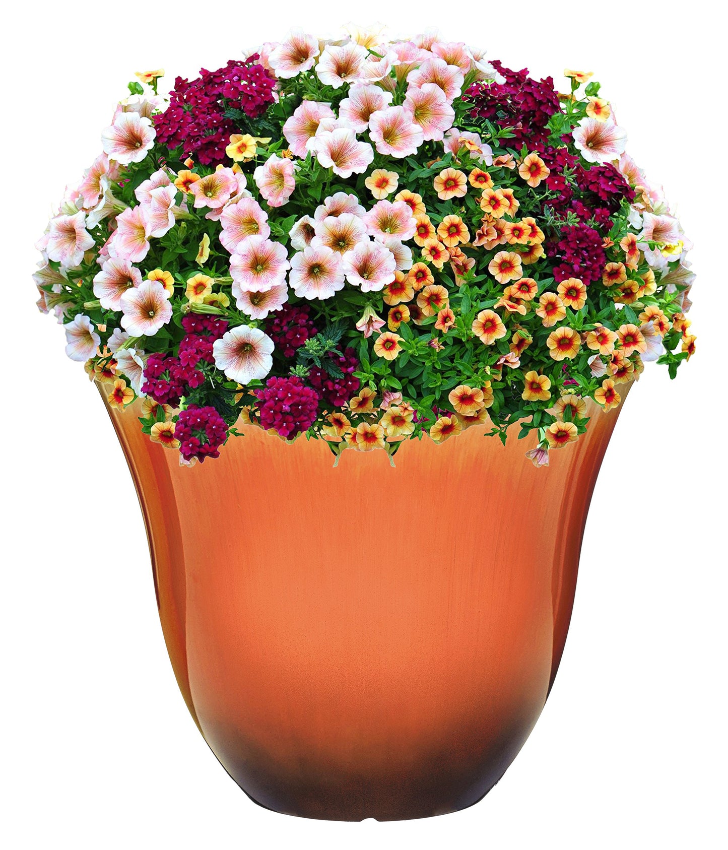 Classic Home and Garden Honeysuckle Resin Flower Pot Planter, Tequila Sunrise, 13"