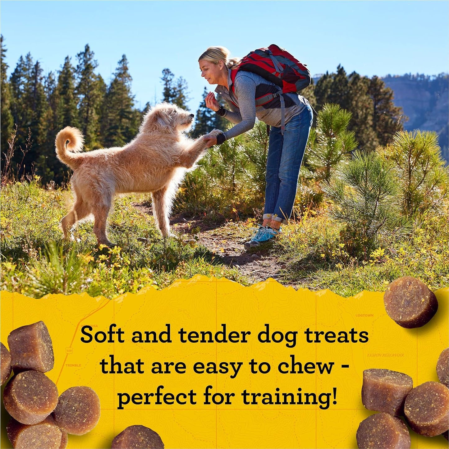 Zuke’s Mini Naturals Soft And Chewy Dog Treats For Training Pouch, Natural Treat Bites With Salmon Recipe - 6 oz. Bag